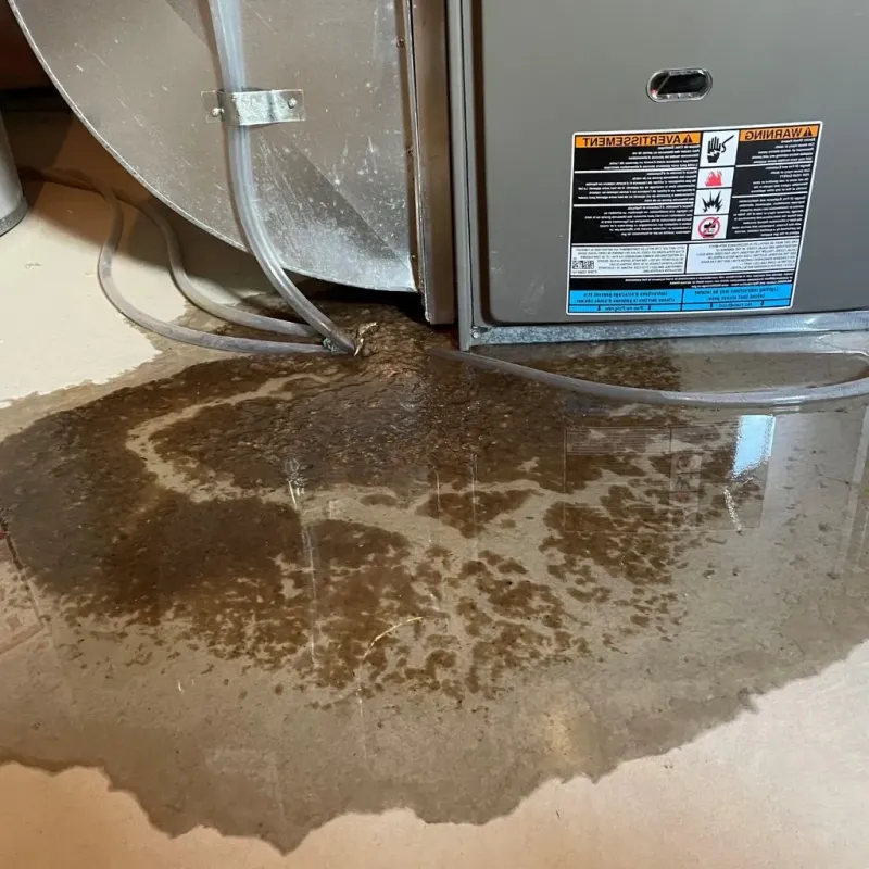 Pipe Burst and Leak Restoration in Muncy, PA